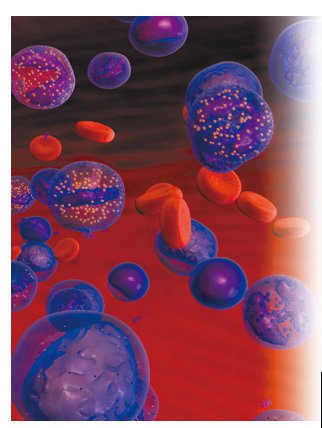 圖片點(diǎn)擊可在新窗口打開查看