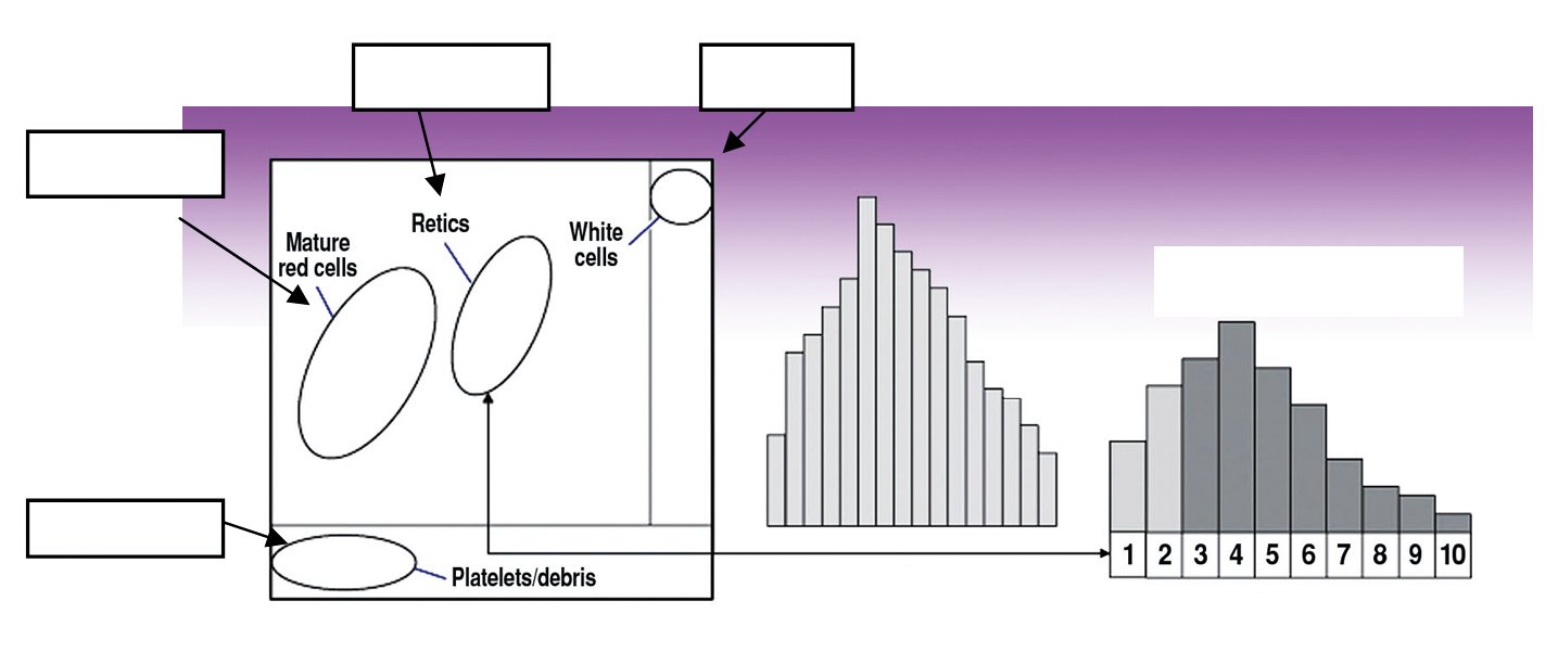 圖片點(diǎn)擊可在新窗口打開查看